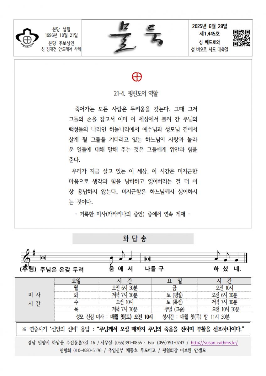 20250629 성 베드로와 바오로001.png.jpg